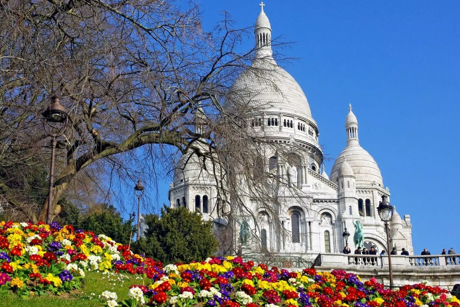 Le Sacré-Cœur de Montmartre au-dessus d'un massif de fleurs